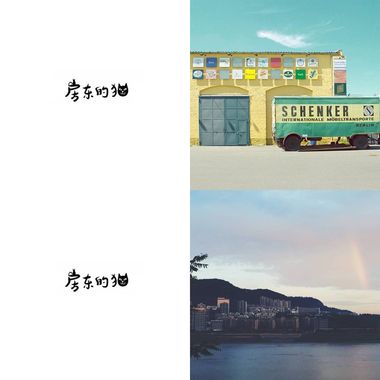 房东的猫