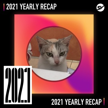 2021 个人年度精选之最