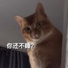 Sleep inside