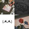 新的