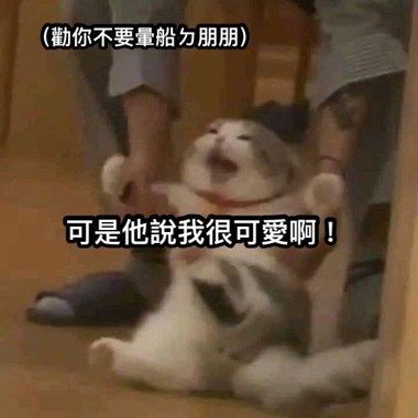 热恋限定??‍?