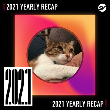 2021 个人年度精选之最
