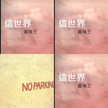 这世界