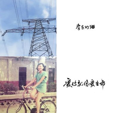 我的歌单 6