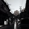 冬眠期的梦