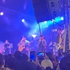 馆青
