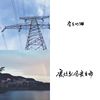 房东的猫