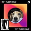 2021 个人年度精选之最