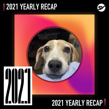 2021 个人年度精选之最