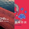 我的歌单