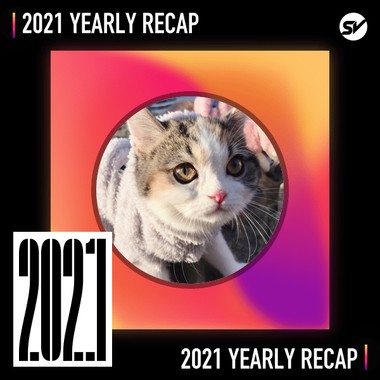 2021 个人年度精选之最