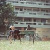 歌曲不能没有名字喔
