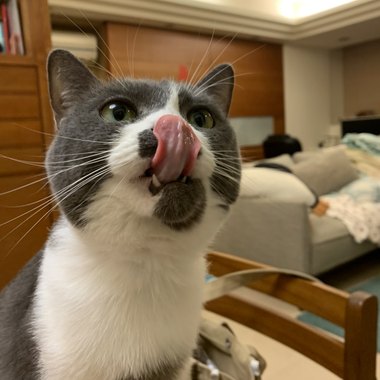 街声才听的到
