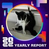 2022 个人年度精选