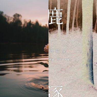 感觉莓果