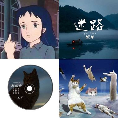 黑羊!