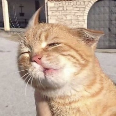 不好听退费  
