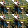 WoodyWoody