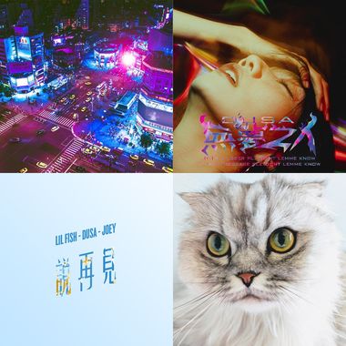 2019 年度歌单