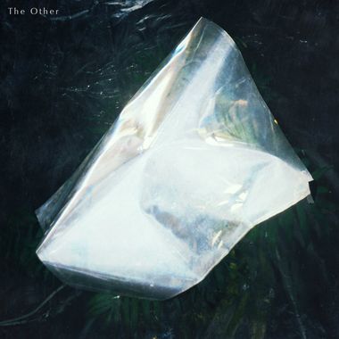 他者the other