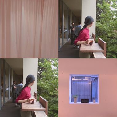 洪安妮