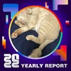 2022 个人年度精选