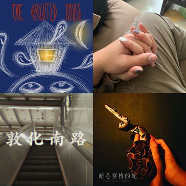 芮鲨
