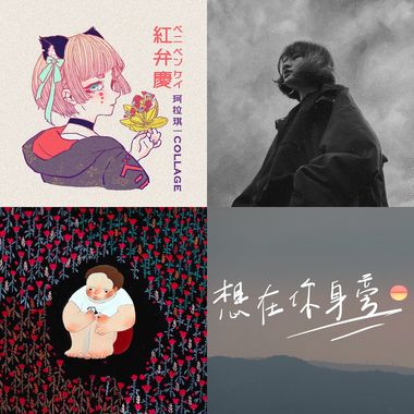 适合夜晚喝一杯