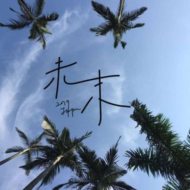 我的歌单