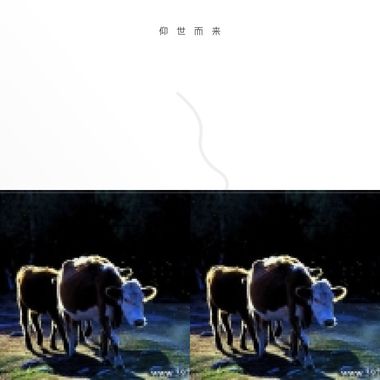 我的歌单  