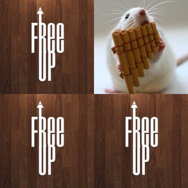 Free Up's Music