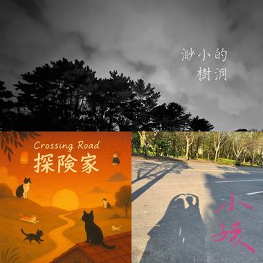 赞赞