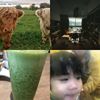 Ernestwang