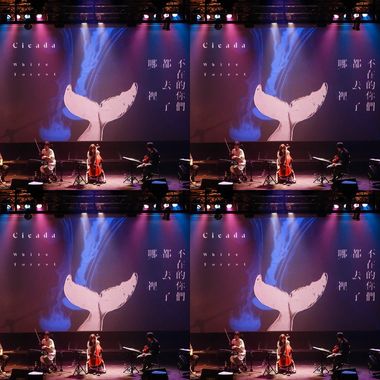 cicada live jp