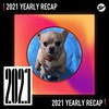 2021 个人年度精选之最
