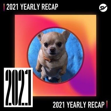 2021 个人年度精选之最