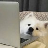 读书好累来放松一下吧
