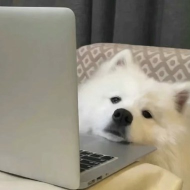 读书好累来放松一下吧