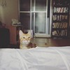 偶像