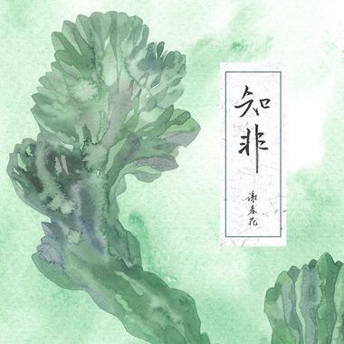 谢春花