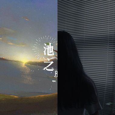 在有月光的夜晚适合