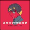 珂拉琪