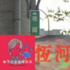 我的歌单 1