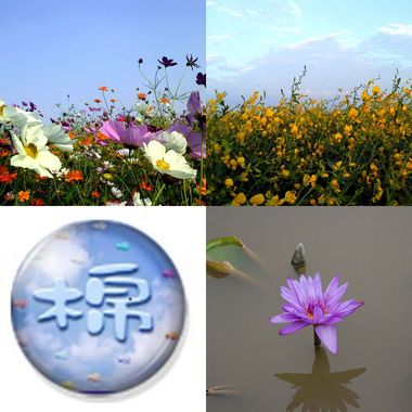 人间摆渡(初九