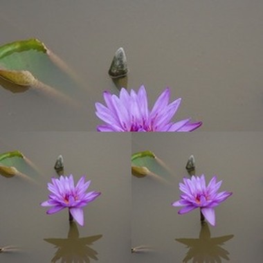 缘起千年(G