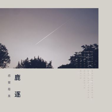 我的歌单