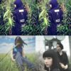 邦尼