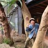 房东的猫
