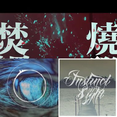 instinctofsight