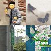 赞ㄉ
